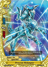Procyon Melampus