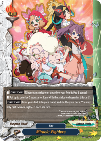Miracle Fighters