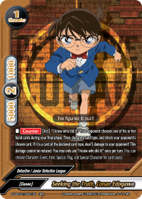 Seeking the Truth, Conan Edogawa