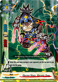Electro Ninja, Electric Teru
