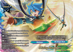 Shining Punisher!!
