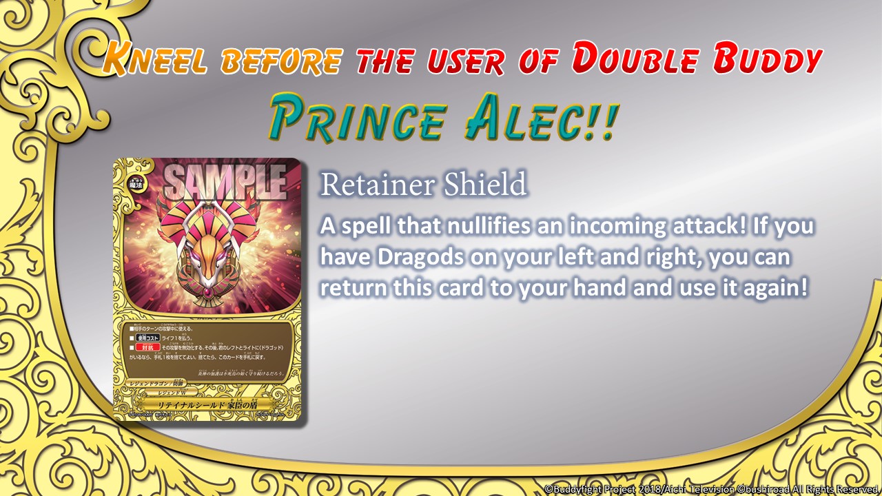 Retainer Shield